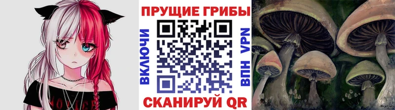Псилоцибиновые грибы мицелий  как найти закладки  Островной 